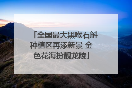 全国最大黑喉石斛种植区再添新景 金色花海扮靓龙陵