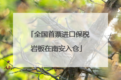 全国首票进口保税岩板在南安入仓
