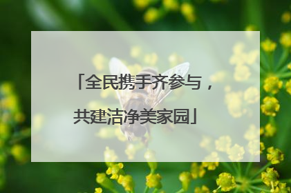 全民携手齐参与，共建洁净美家园
