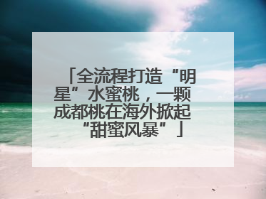 全流程打造“明星”水蜜桃，一颗成都桃在海外掀起“甜蜜风暴”