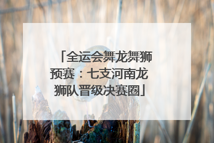 全运会舞龙舞狮预赛：七支河南龙狮队晋级决赛圈