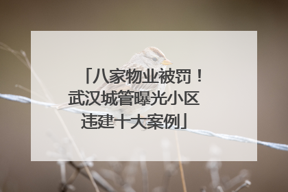 八家物业被罚！武汉城管曝光小区违建十大案例