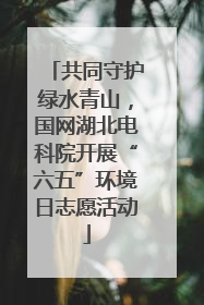 共同守护绿水青山，国网湖北电科院开展“六五”环境日志愿活动