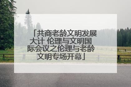 共商老龄文明发展大计 伦理与文明国际会议之伦理与老龄文明专场开幕