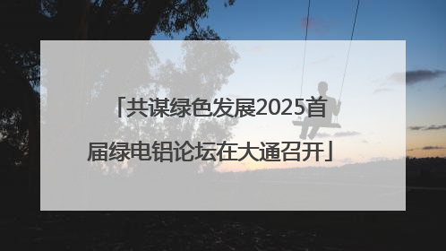 共谋绿色发展2025首届绿电铝论坛在大通召开