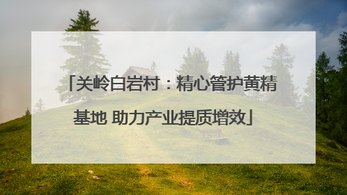 关岭白岩村：精心管护黄精基地 助力产业提质增效