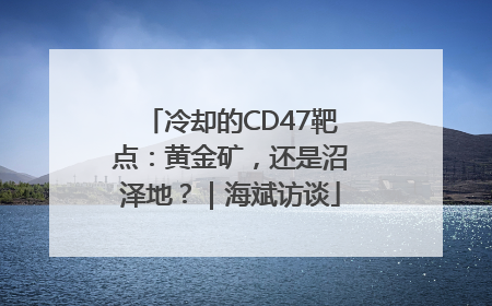 冷却的CD47靶点：黄金矿，还是沼泽地？｜海斌访谈
