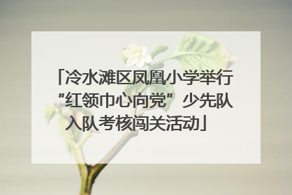 冷水滩区凤凰小学举行“红领巾心向党”少先队入队考核闯关活动