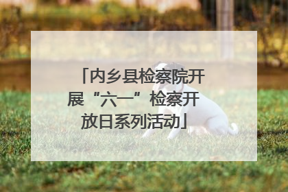 内乡县检察院开展“六一”检察开放日系列活动