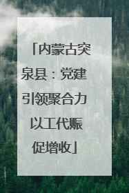 内蒙古突泉县：党建引领聚合力 以工代赈促增收