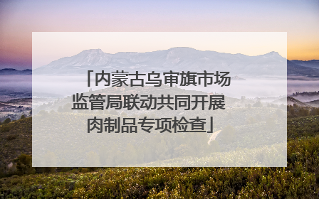 内蒙古乌审旗市场监管局联动共同开展肉制品专项检查