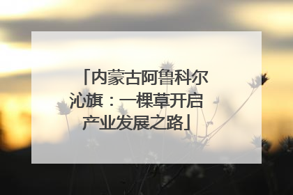 内蒙古阿鲁科尔沁旗：一棵草开启产业发展之路