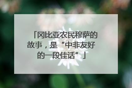 冈比亚农民穆萨的故事，是“中非友好的一段佳话”