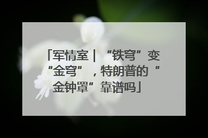 军情室｜“铁穹”变“金穹”，特朗普的“金钟罩”靠谱吗