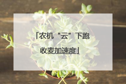 农机“云”下跑 收麦加速度