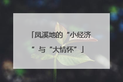 凤溪地的“小经济”与“大情怀”