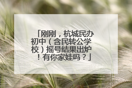 刚刚，杭城民办初中（含民转公学校）摇号结果出炉！有你家娃吗？