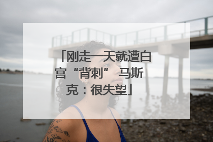 刚走一天就遭白宫“背刺” 马斯克：很失望