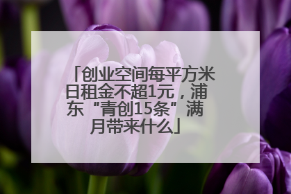 创业空间每平方米日租金不超1元，浦东“青创15条”满月带来什么