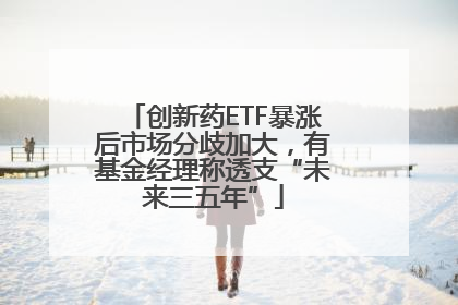 创新药ETF暴涨后市场分歧加大，有基金经理称透支“未来三五年”