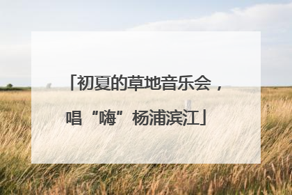 初夏的草地音乐会，唱“嗨”杨浦滨江