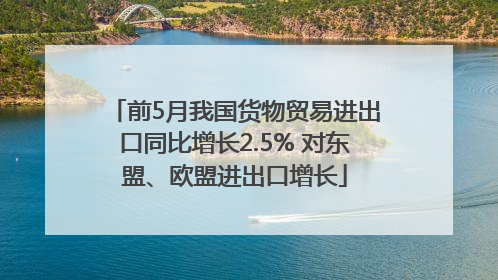 前5月我国货物贸易进出口同比增长2.5% 对东盟、欧盟进出口增长
