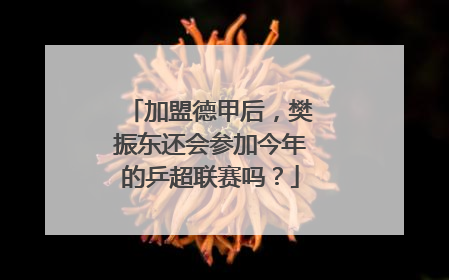 加盟德甲后，樊振东还会参加今年的乒超联赛吗？