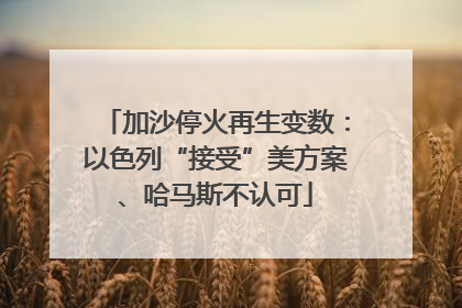 加沙停火再生变数：以色列“接受”美方案、哈马斯不认可