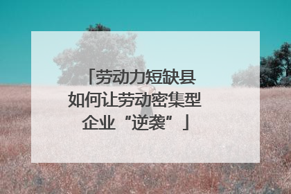 劳动力短缺县 如何让劳动密集型企业“逆袭”