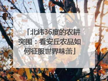 北纬36度的农耕突围：看安丘农品如何征服世界味蕾