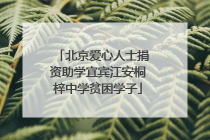 北京爱心人士捐资助学宜宾江安桐梓中学贫困学子