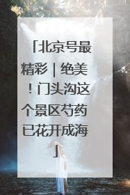 北京号最精彩｜绝美！门头沟这个景区芍药已花开成海