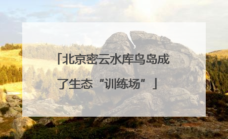 北京密云水库鸟岛成了生态“训练场”
