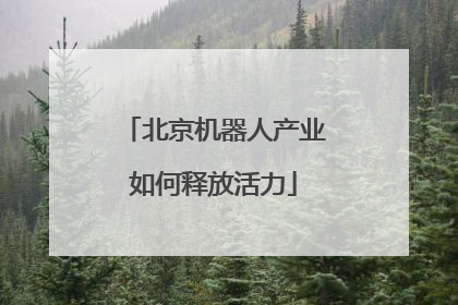 北京机器人产业如何释放活力