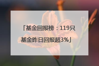 基金回报榜：119只基金昨日回报超3%