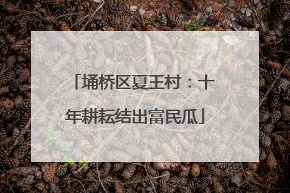 埇桥区夏王村：十年耕耘结出富民瓜