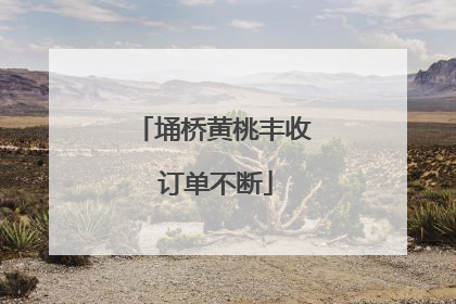 埇桥黄桃丰收 订单不断