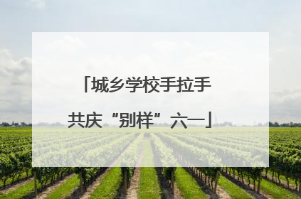 城乡学校手拉手 共庆“别样”六一