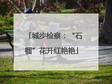 城步检察：“石榴”花开红艳艳