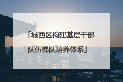 城西区构建基层干部队伍梯队培养体系