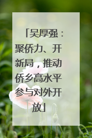 吴厚强：聚侨力、开新局，推动侨乡高水平参与对外开放