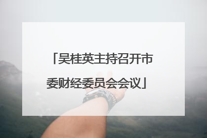 吴桂英主持召开市委财经委员会会议