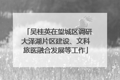 吴桂英在望城区调研大泽湖片区建设、文科旅医融合发展等工作