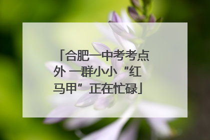 合肥一中考考点外 一群小小“红马甲”正在忙碌