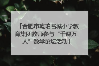 合肥市琥珀名城小学教育集团教师参与“千课万人”数学论坛活动