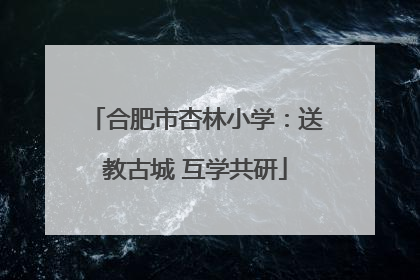 合肥市杏林小学：送教古城 互学共研