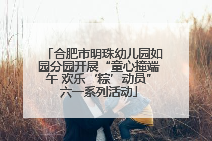 合肥市明珠幼儿园如园分园开展“童心撞端午 欢乐‘粽’动员”六一系列活动