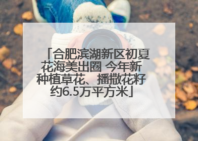 合肥滨湖新区初夏花海美出圈 今年新种植草花、播撒花籽约6.5万平方米