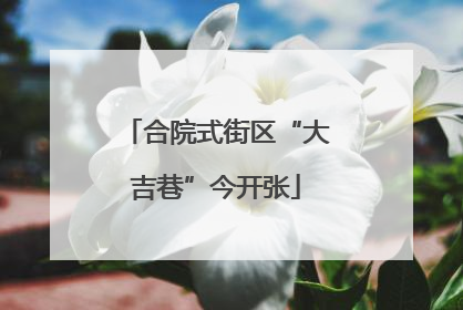 合院式街区“大吉巷”今开张