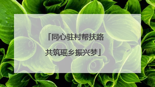 同心驻村帮扶路 共筑瑶乡振兴梦